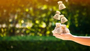 Especialista explica a importância do microcrédito para pequenos negócios e orienta empreendedores como contratá-la